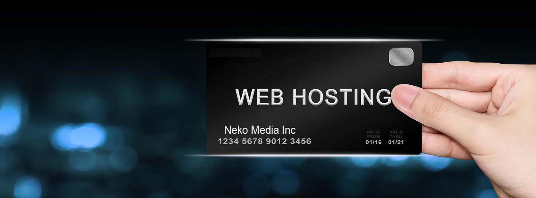 Web SEO Hosting